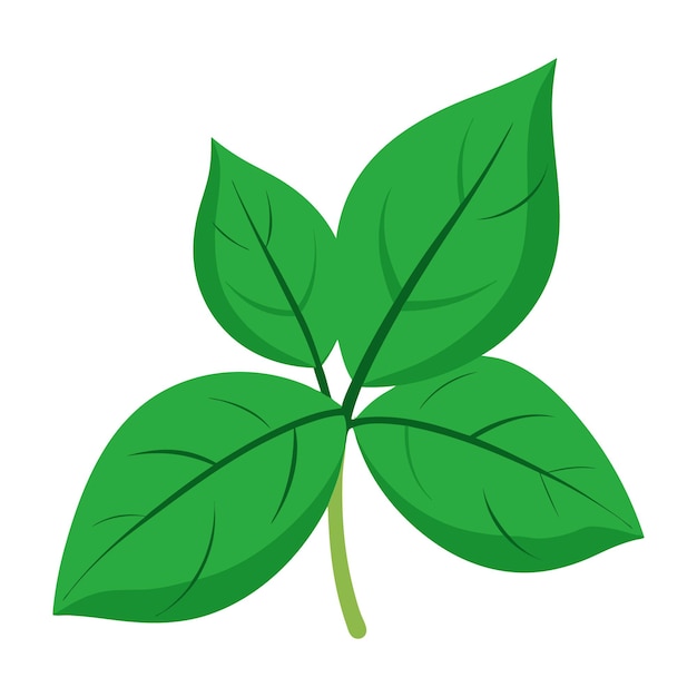 un dibujo de una hoja verde con la palabra hoja en ella
