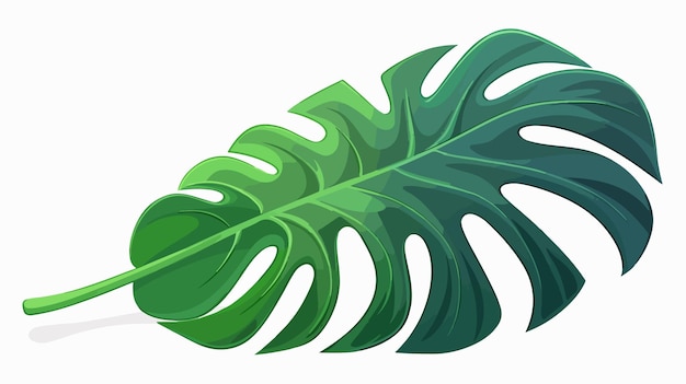 un dibujo de una hoja verde con la palabra palma en él