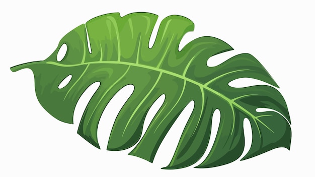 un dibujo de una hoja verde con las palabras vida en ella