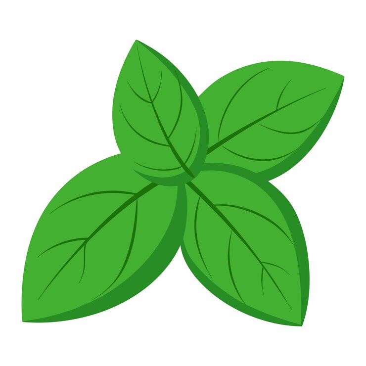 un dibujo de una hoja verde que dice hoja