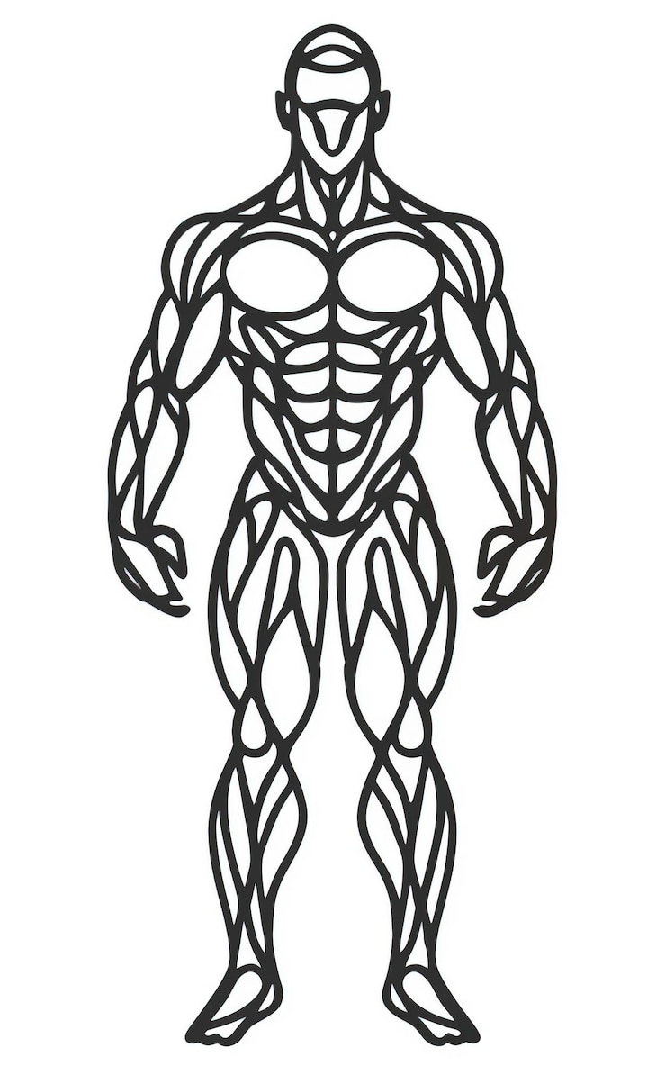 Vector un dibujo de un hombre con un cuerpo que dice culturista