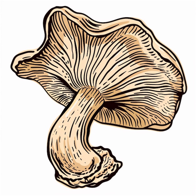 un dibujo de un hongo con un contorno marrón