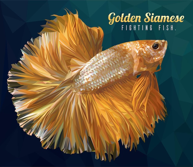 Dibujo de ilustración de polígono bajo de peces luchadores betta o simese.