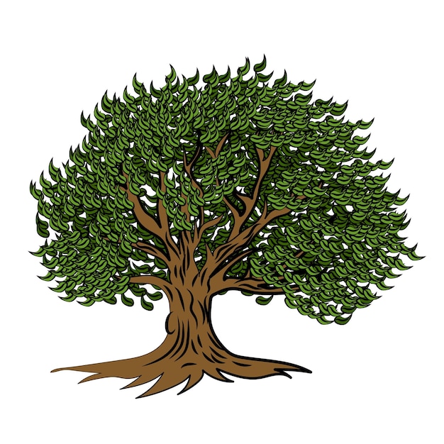 Dibujo de ilustración de vector de dibujos animados de árbol verde para libro infantil