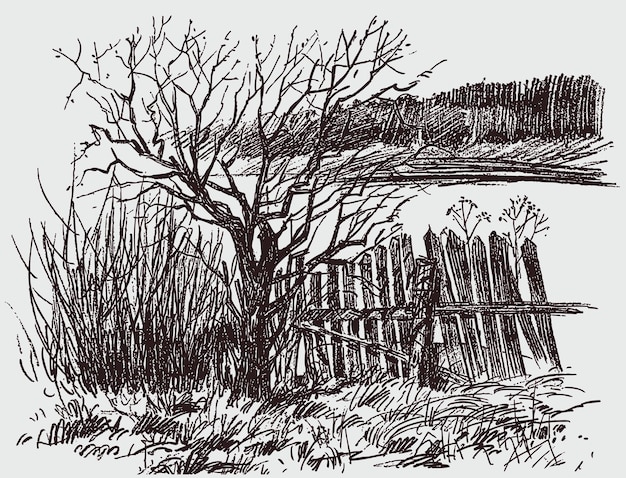 Dibujo a lápiz del paisaje primaveral rural con árbol y valla de madera
