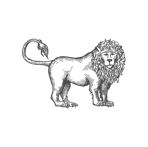Dibujo de león heráldico real Vector rey de los animales