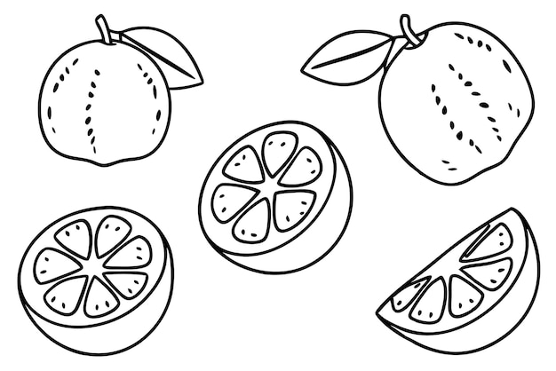 un dibujo de un limón con una hoja en él