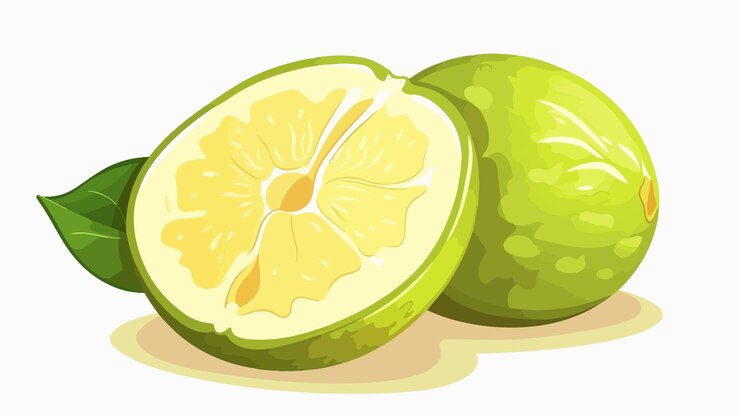 Vector un dibujo de un limón y la mitad de él