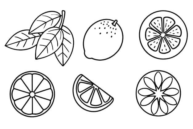 Un dibujo de limones y naranjas con un dibujo de un limón