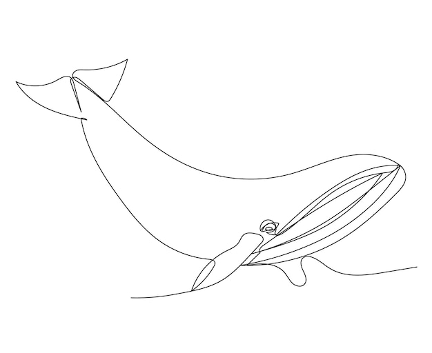 Vector dibujo de una línea de ballena azul aislado