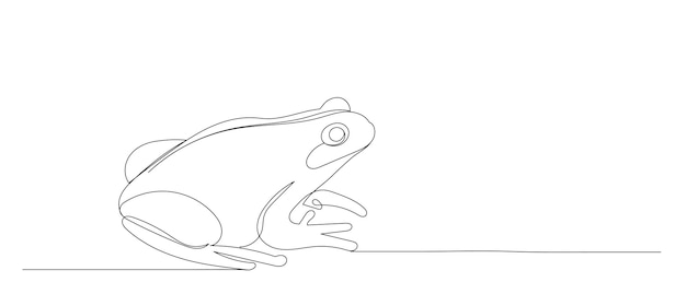 dibujo de línea de boceto de rana sobre un vector de fondo blanco