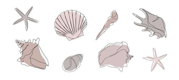 Dibujo de una línea de una concha Ilustraciones marinas dibujadas a mano de conchas marinas