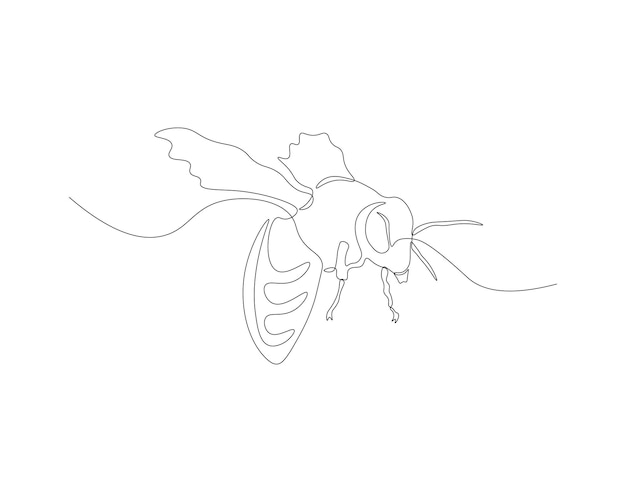 Vector dibujo de línea continua de abeja una línea de abeja voladora insectos voladores concepto arte de línea continua contorno editable