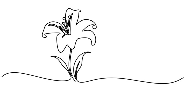 Vector dibujo de línea continua con anchura variable de trota de lirio con trazo editable de lirio de línea continua