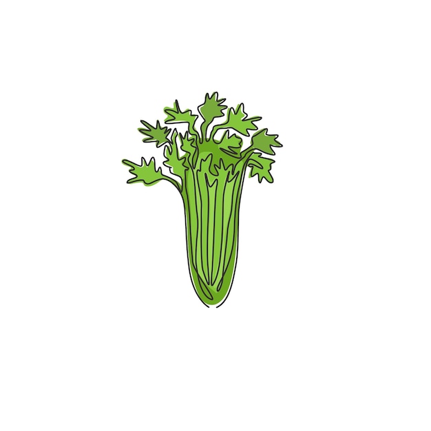 Un dibujo de línea continua de apio verde orgánico saludable Icono de verdura de planta de pantano fresco