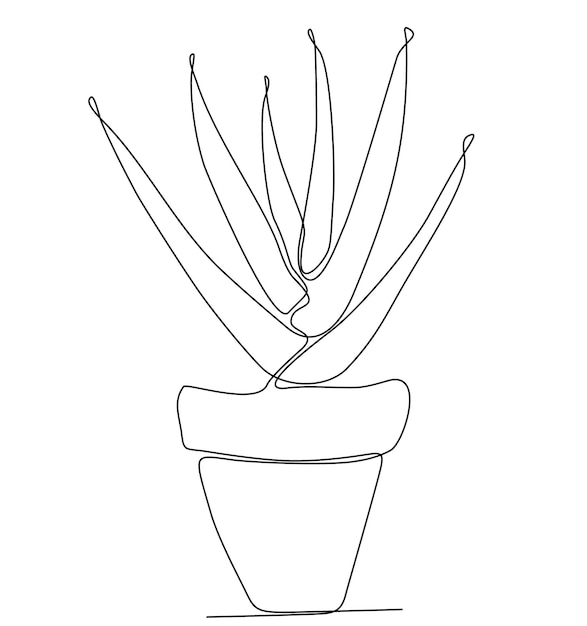 dibujo de línea continua de un árbol joven en una ilustración de vector de maceta de hoja