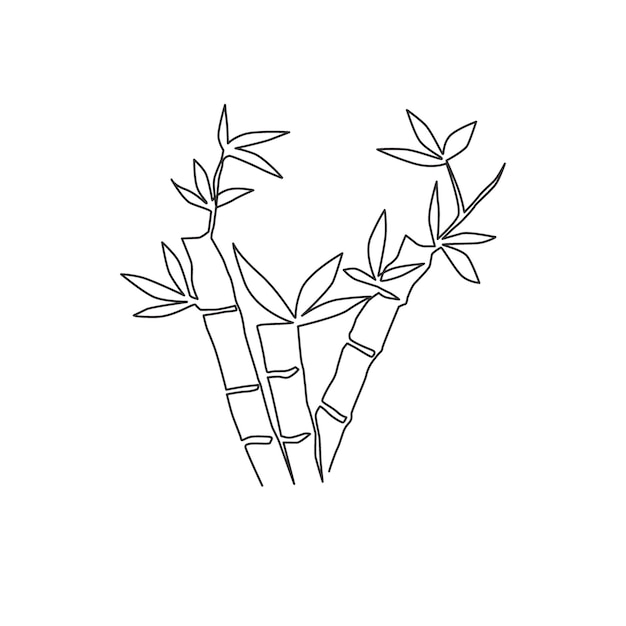 Un dibujo de línea continua de árboles de bambú Diseño de dibujo de hoja perenne fresco Ilustración vectorial gráfica