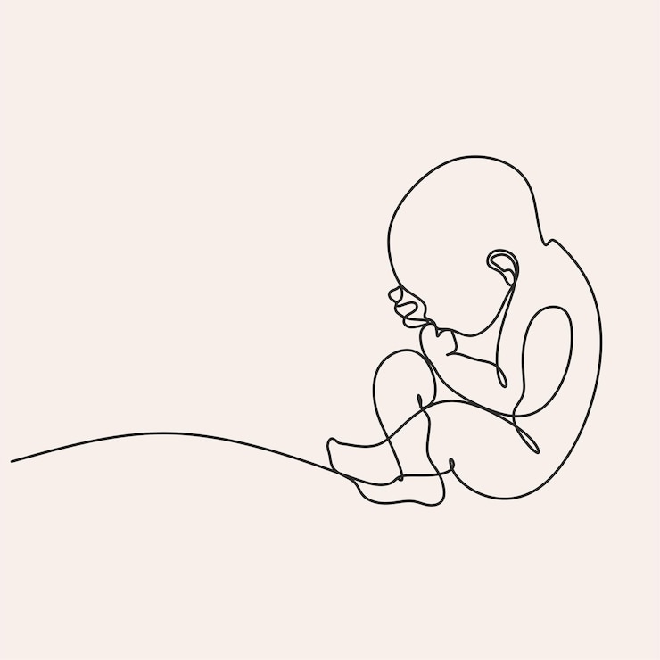Vector dibujo de línea continua bebé en el útero sobre el fondo blanco ilustración vectorial