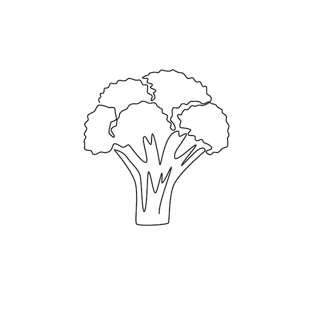 Un dibujo de línea continua de brócoli verde para el logotipo Planta verde comestible fresca para el icono de verdura