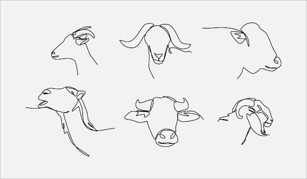 Un dibujo de línea continua de cabezas de cabras y ovejas Concepto de animal de granja eid adha Editable