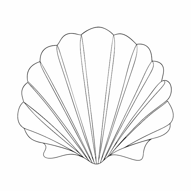 Dibujo en línea continua de conchas marinas 31