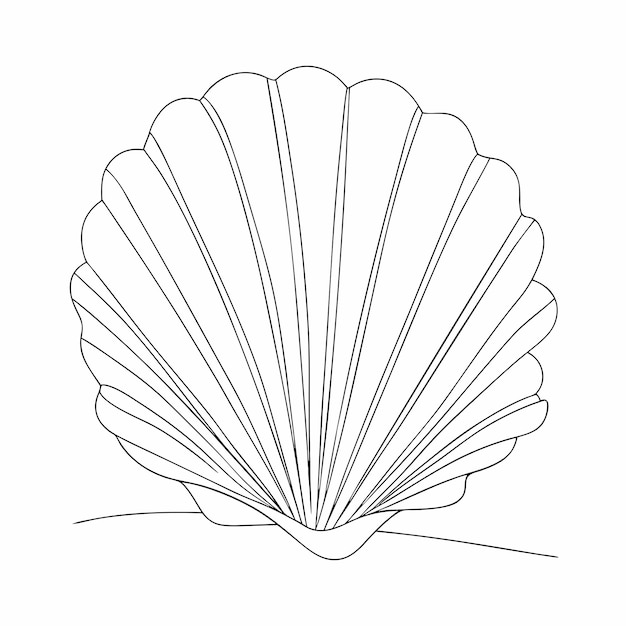 Dibujo en línea continua de conchas marinas 6