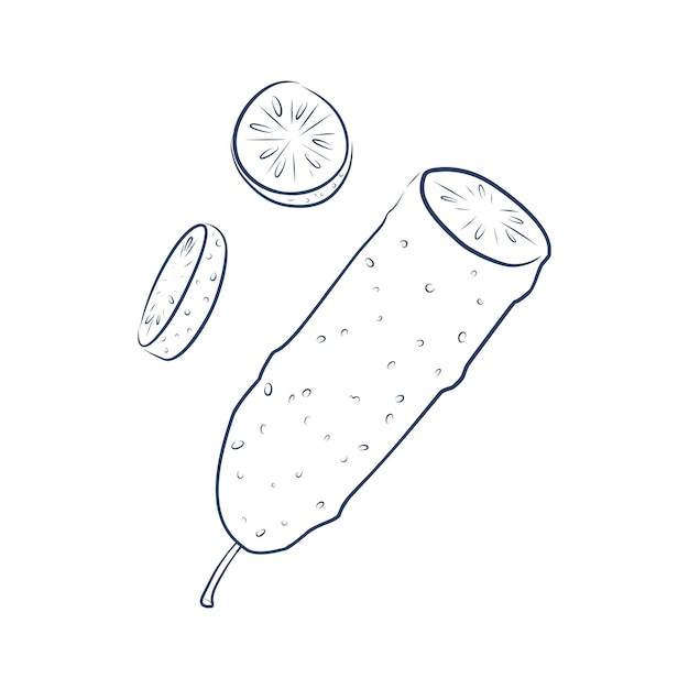 Dibujo de línea continua de encurtidos de pepino en rodajas Concepto de arte de una línea de alimentos frescos frutas y verduras Ilustración vectorial