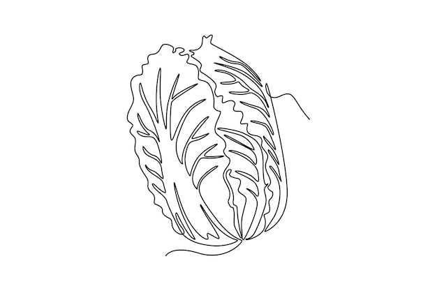 Un dibujo de línea continua entera de repollo de cabeza orgánico saludable para la identidad del logotipo de la tienda de comestibles Concepto de planta bienal fresca para el icono de verduras Ilustración vectorial de diseño gráfico de dibujo de una línea