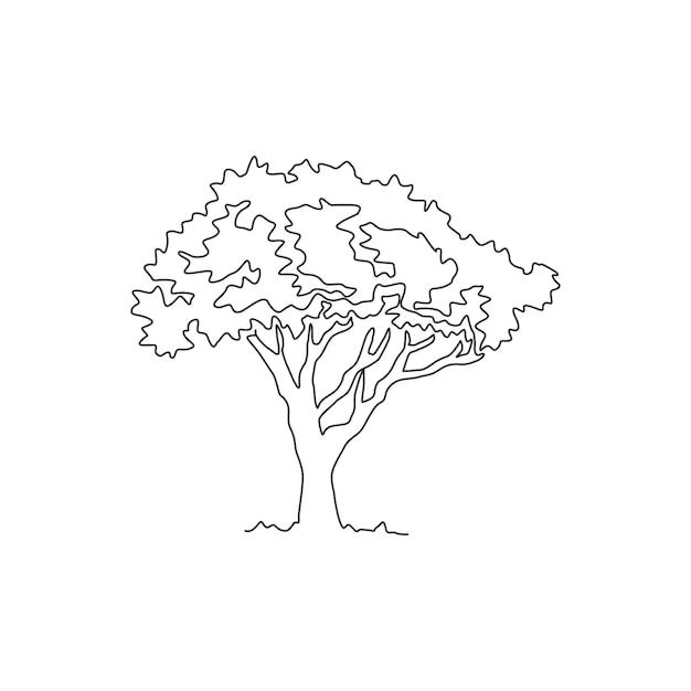 Un dibujo de línea continua del hermoso árbol de marula para la decoración del hogar Planta de barril de escleroderma