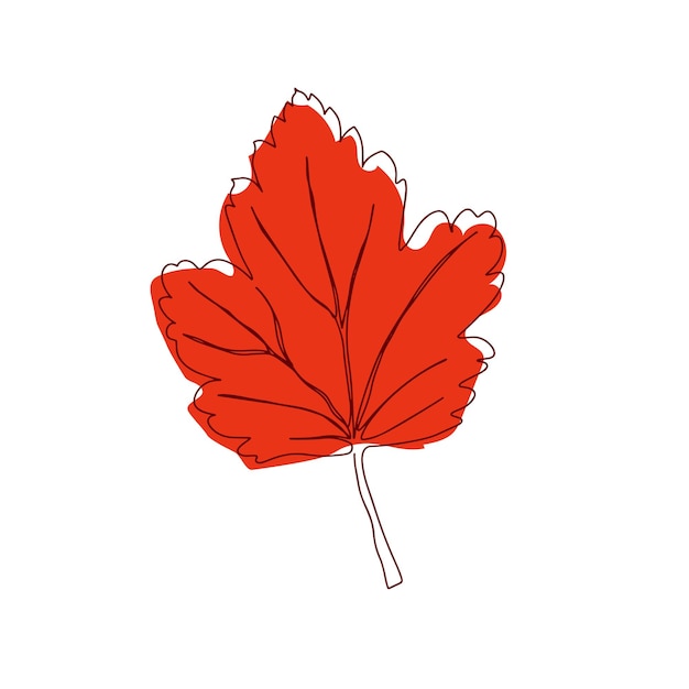 Dibujo de línea continua de hoja de otoño vectorial Icono de estilo de una línea de hoja de otoño