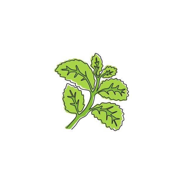 Vector un dibujo de línea continua de hojas de menta orgánica menta fresca para la ilustración del icono de la plantación