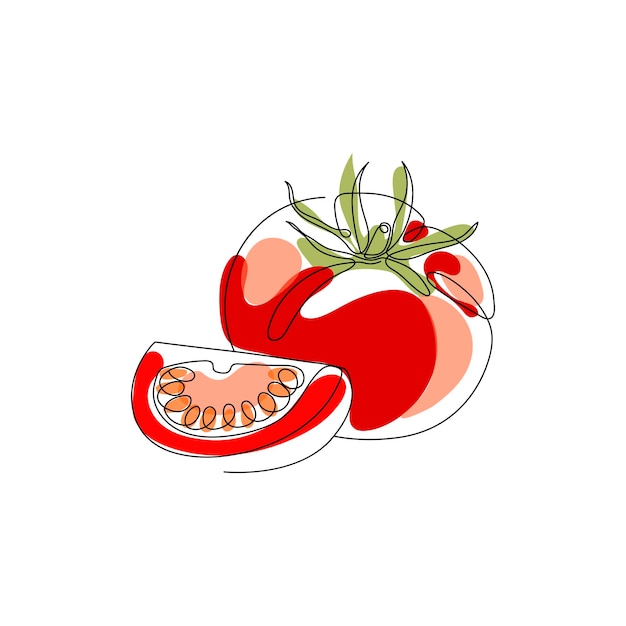 Dibujo de una línea continua ilustración de vector de tomate arte abstracto mínimo