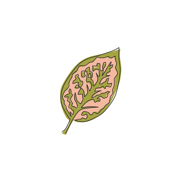 Un dibujo de línea continua linda planta de hoja tropical aglaonema Ilustración de diseño de dibujo de una sola línea