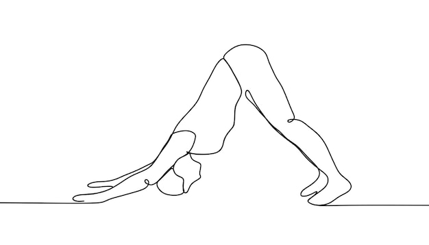 Vector dibujo de línea continua mujer deportiva haciendo yoga sobre fondo blanco