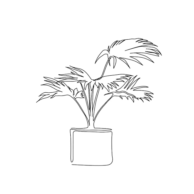 Dibujo de línea continua de planta de palma tropical en maceta Lineal de planta tropical con trazo editable