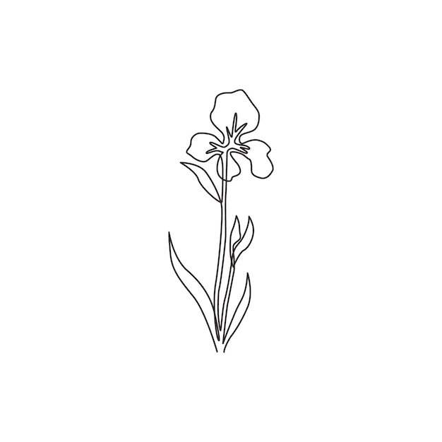 Un dibujo de línea continua de plantas perennes en la pared Vector de diseño de invitaciones de flores de iris decorativas
