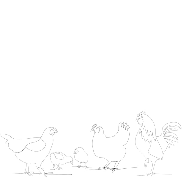 Dibujo de línea continua de pollos y gallo de pollo.