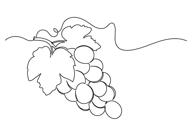Un dibujo de línea continua de un racimo de uva minimalista y limpio Un aislado de uva de arte de línea simple