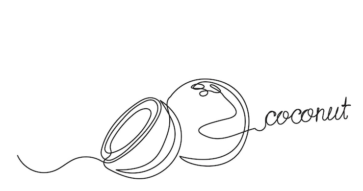 Vector dibujo de línea continua de una rebanada de coco cortada a la mitad fruta orgánica deliciosa playa de verano