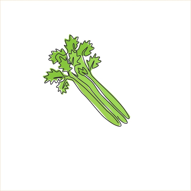 Dibujo de línea continua única de apio verde orgánico saludable Vector de diseño de iconos de pantanos frescos