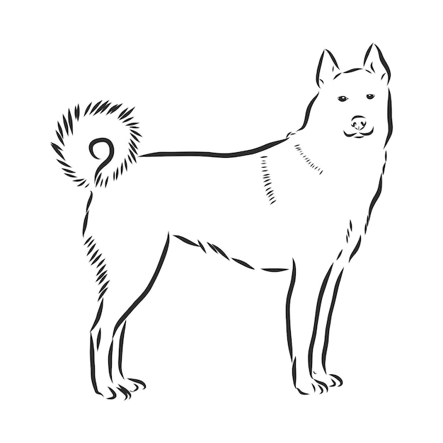 Dibujo de línea continua única del icono de perro cachorro de husky siberiano lindo simple