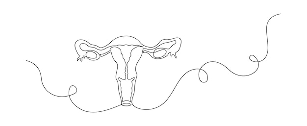 Un dibujo de línea continua del útero femenino, el ovario y el sistema reproductivo del útero en un estilo lineal simple para el logotipo y el banner web de la clínica médica de ginecología.