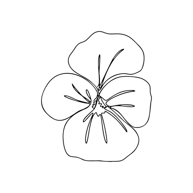 Dibujo de una línea flor de boceto de línea continua única