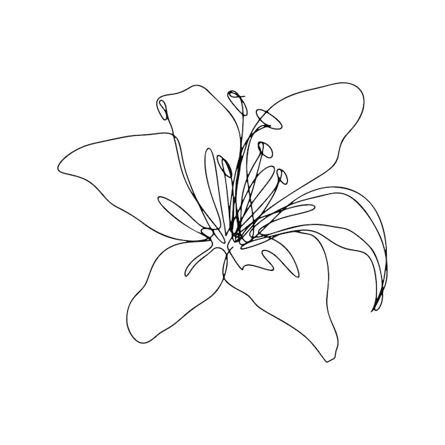 Dibujo de una línea flor de boceto de línea continua única