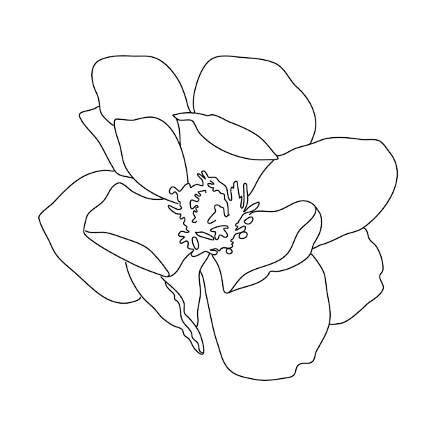Dibujo de una línea de flor. Estilo minimalista floral. Símbolo de la naturaleza. Impresión botánica. Línea continua
