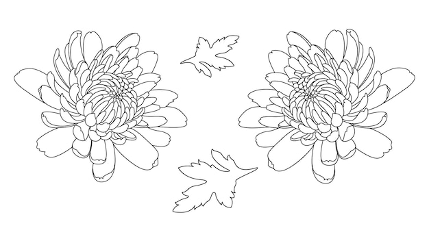 Vector dibujo de la línea de flores de dahlia libro de colorear