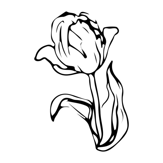 Dibujo de una línea de flores. Estilo minimalista floral. Símbolo de la naturaleza. Impresión botánica. Línea continua