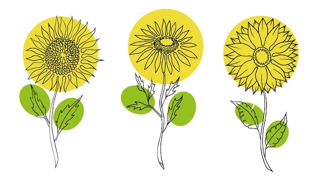 Dibujo de una línea Hermosos girasoles decorativos con brotes y manchas de color Boceto dibujado a mano minimalista Ilustración de stock vectorial