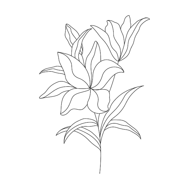 dibujo de una línea ilustración de flor minimalista en estilo de arte lineal