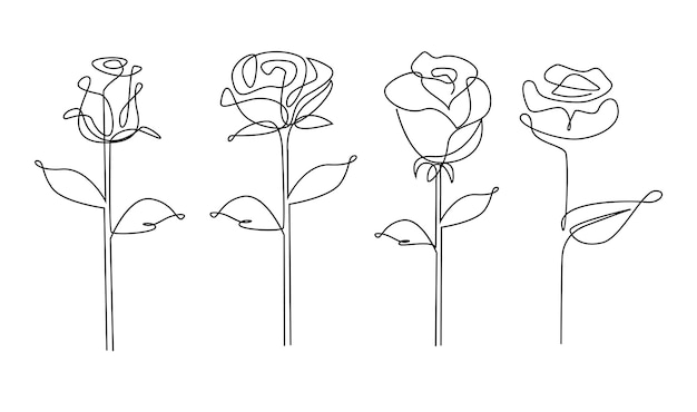 Un dibujo de línea Jardín de rosas con hojas Esbozo dibujado a mano